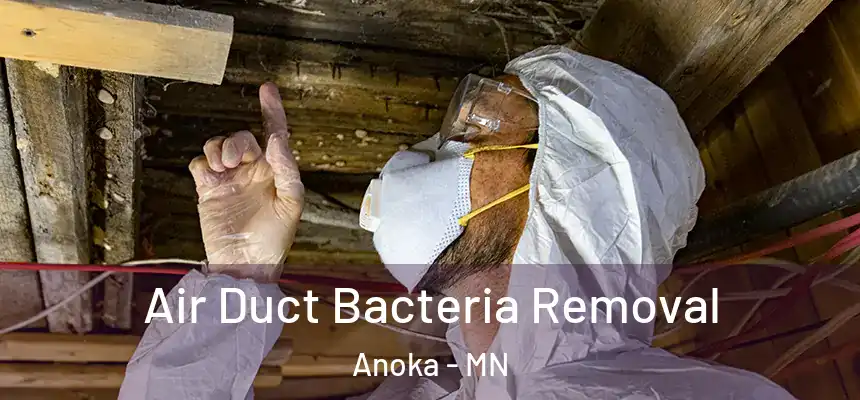  Air Duct Bacteria Removal Anoka - MN