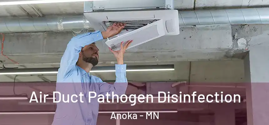  Air Duct Pathogen Disinfection Anoka - MN