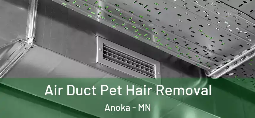  Air Duct Pet Hair Removal Anoka - MN