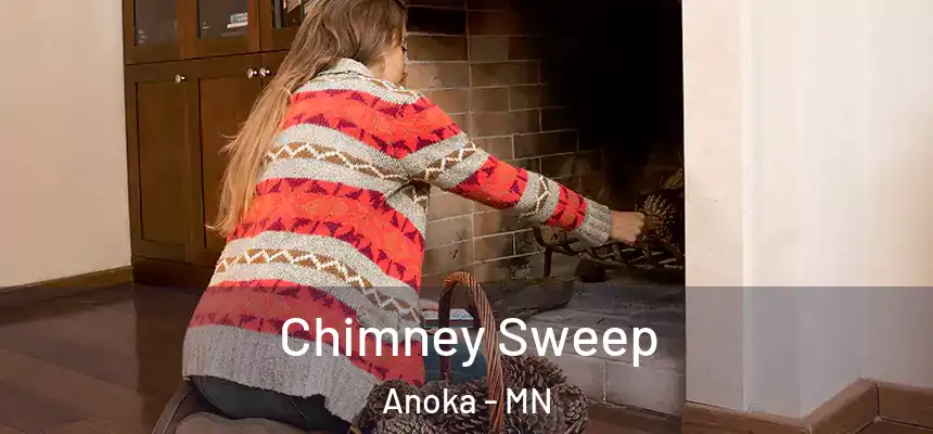  Chimney Sweep Anoka - MN