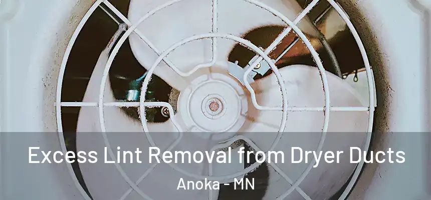  Excess Lint Removal from Dryer Ducts Anoka - MN
