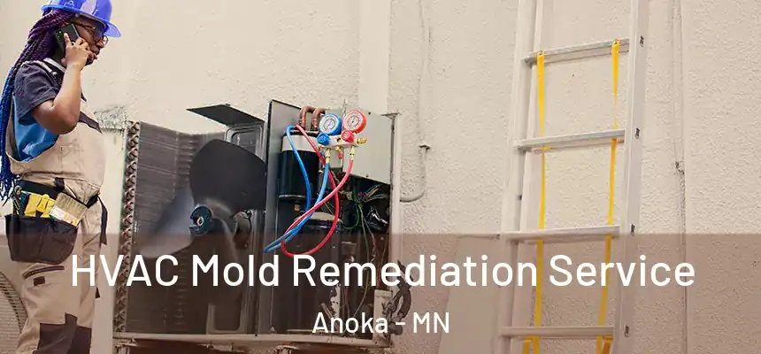  HVAC Mold Remediation Service Anoka - MN