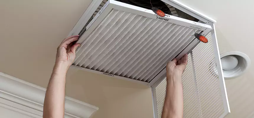 Preventive Cockroach-Proofing for Ducts in Anoka