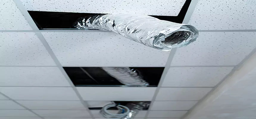 Our Air Duct Pet Hair Removal Services in Anoka, MN