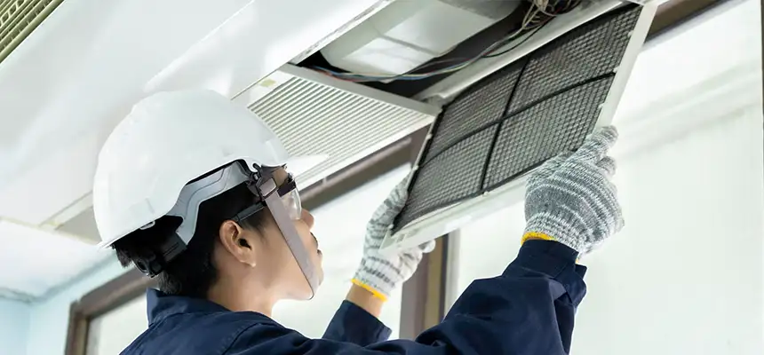 Our Lint Trap Cleaning Service Services in Anoka, MN