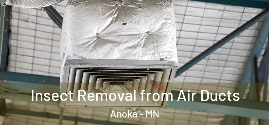  Insect Removal from Air Ducts Anoka - MN