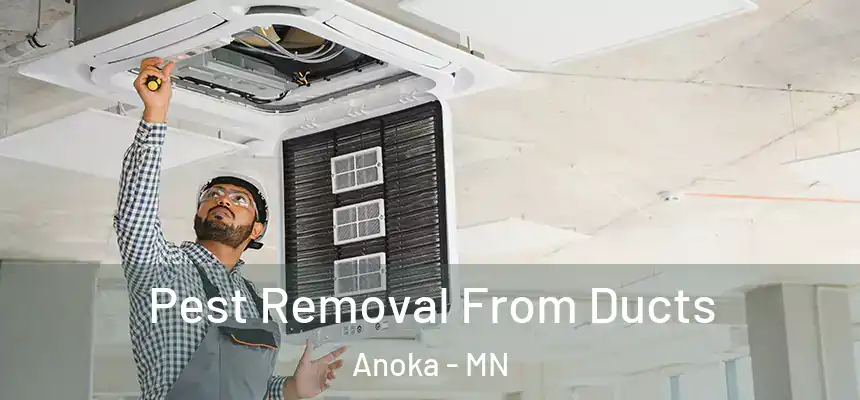  Pest Removal From Ducts Anoka - MN