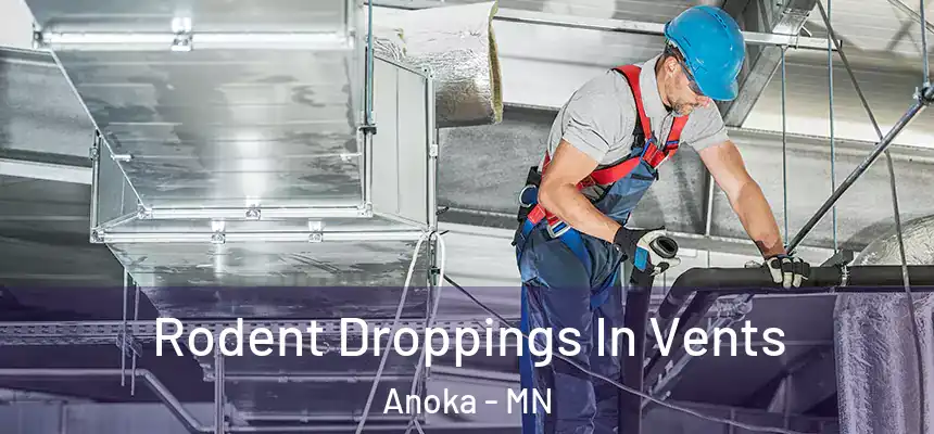  Rodent Droppings In Vents Anoka - MN