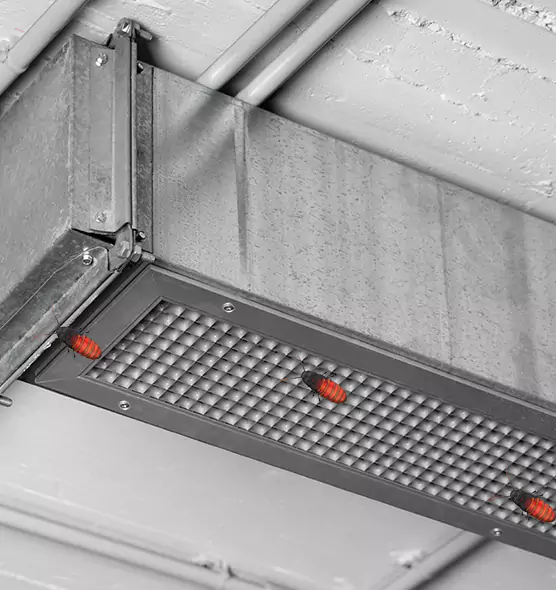 About Air Duct Cockroach Removal in Anoka, MN