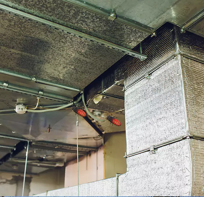 Why Homeowners & Businesses Trust Us in Anoka, MN?