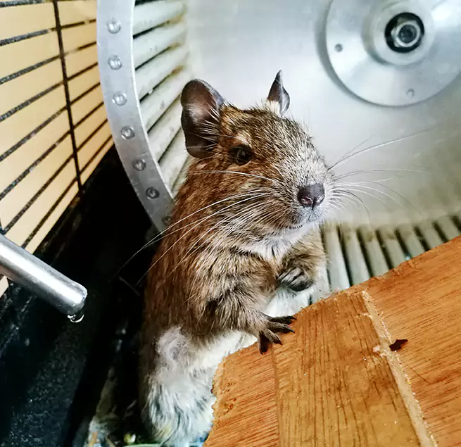 Why Homeowners & Businesses Trust Us Anoka, MN